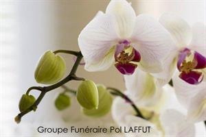 Photo 214783