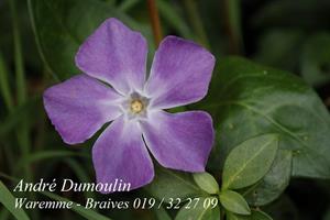 Photo 252113