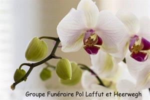Photo 293354