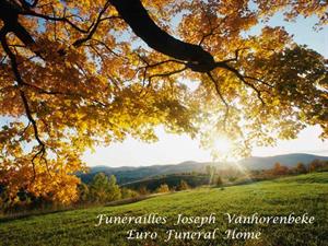 Photo 400411