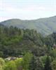 Photo 898640