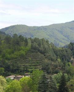 Photo 898640